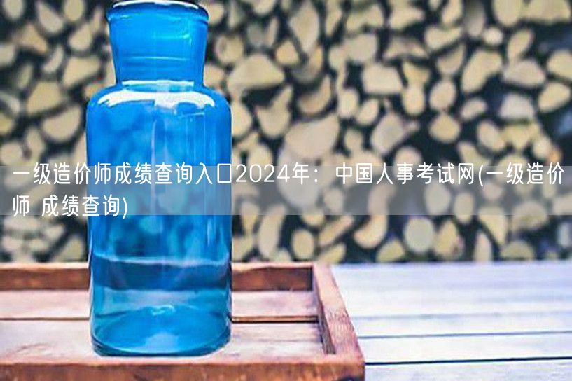 一级造价师成绩查询入口2024年：中国人