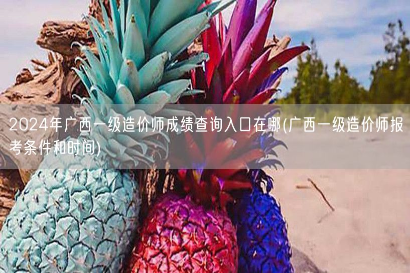 2024年广西一级造价师成绩查询入口 快
