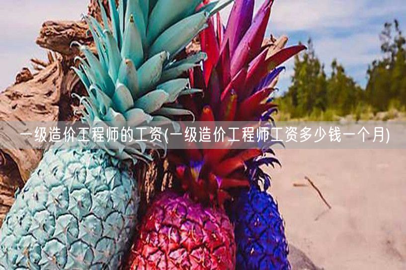 一级造价工程师的工资 待遇及月薪范围