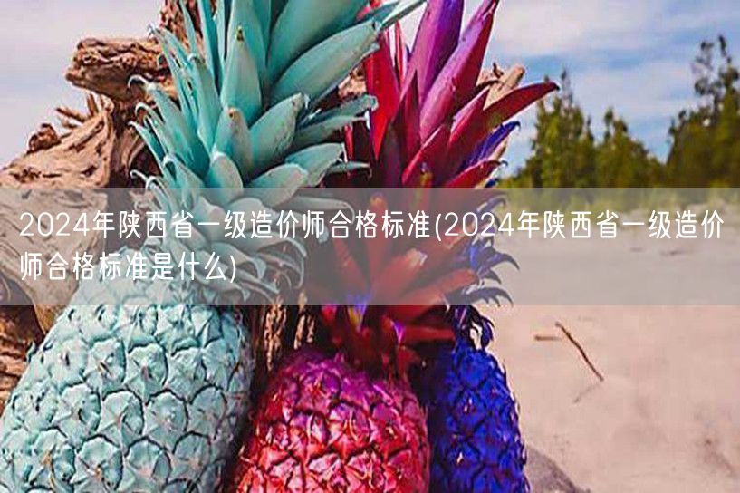 2024年陕西省一级造价师合格标准 分数