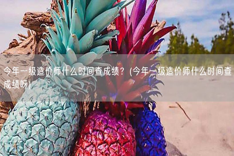 今年一级造价师什么时间查成绩 何时揭晓成