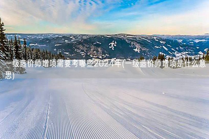 一级造价师增项需要考哪些 2024年 增