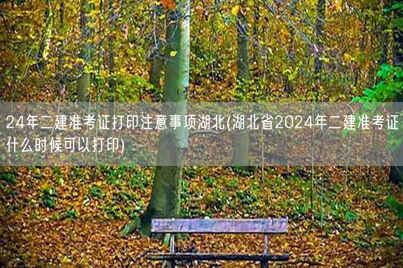 24年二建准考证打印注意事项湖北 何时能
