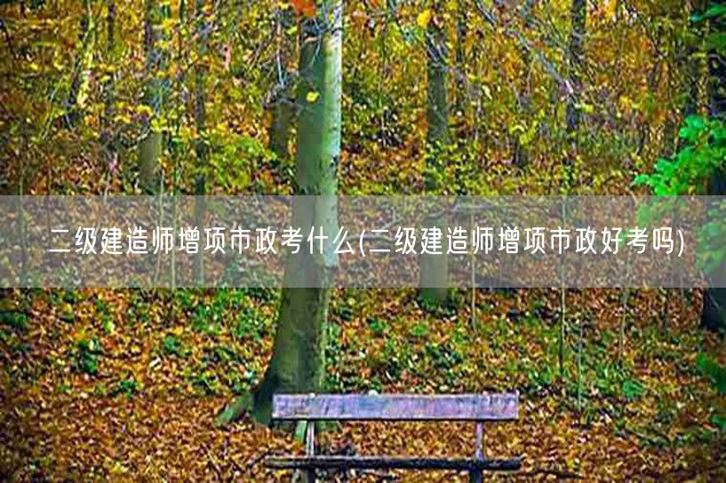 二级建造师增项市政考什么 市政考试要点概