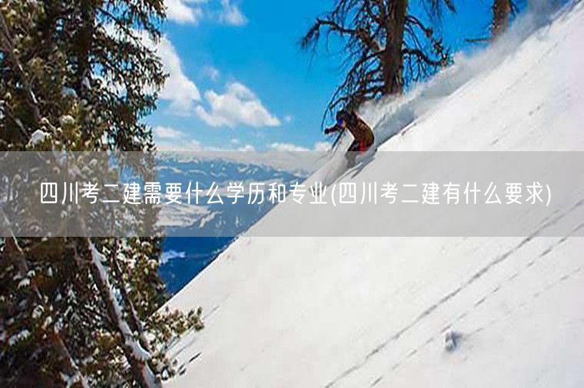 四川考二建所需学历与专业 报名条件概览