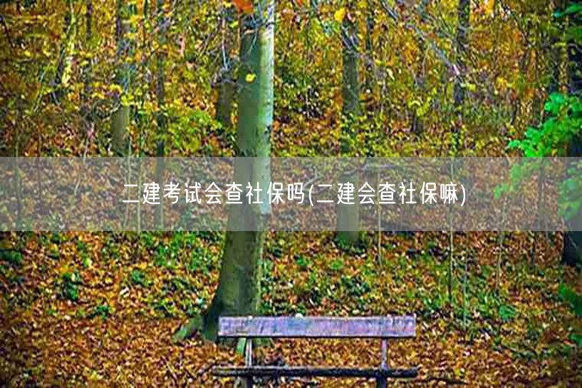 二建考试会查社保吗 社保核查情况说明