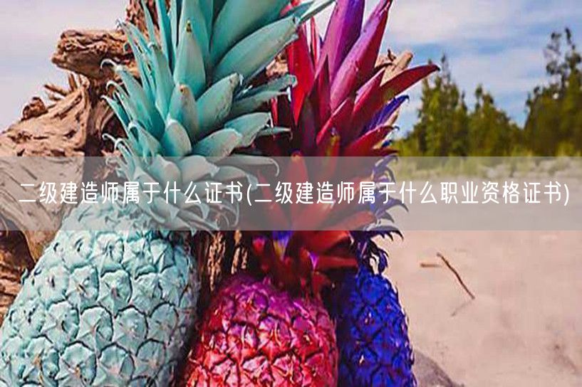 二级建造师属于什么证书 职业资格认证详解