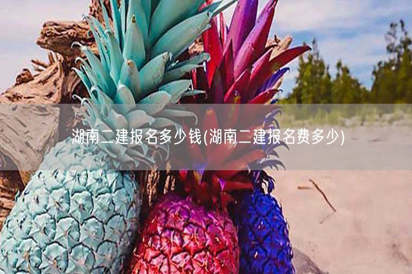 湖南二建报名多少钱 报名费用详解