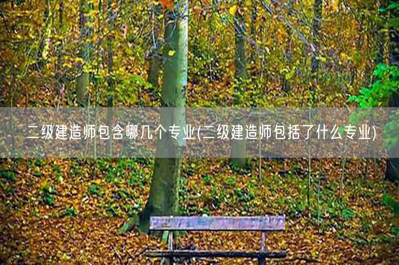 二级建造师包含哪几个专业 涵盖领域详解
