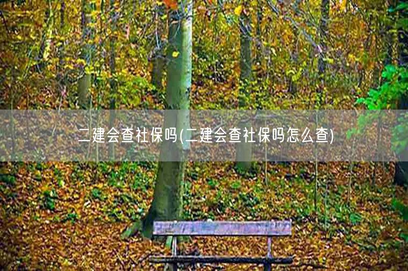 二建会查社保吗 如何查询社保要求