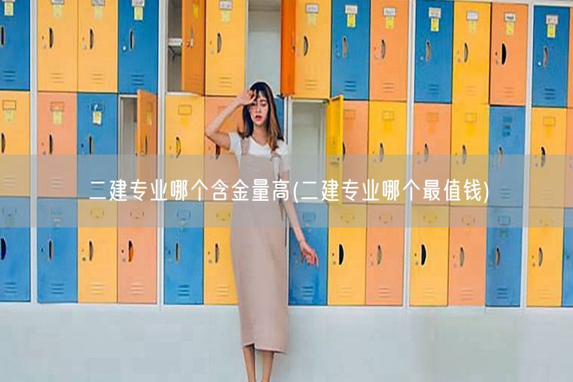 二建专业哪个含金量高 热门高薪专业揭秘