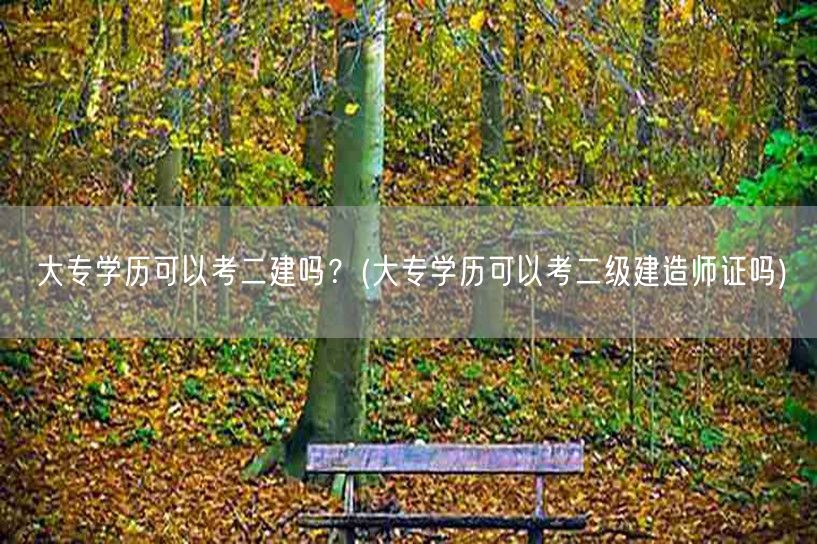 大专学历可以考二建吗？ 能否报考二级建造