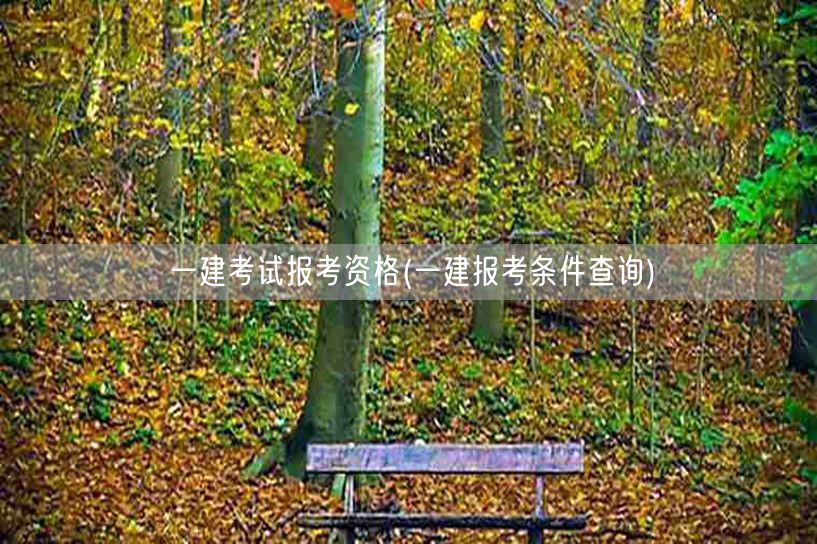 一建考试资格查询及报考条件详解