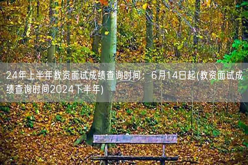 24年上教资面试成绩6月14日起查(下半