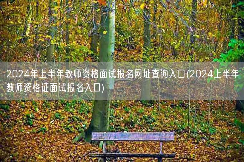 2024上半年教师资格面试报名网址查询入