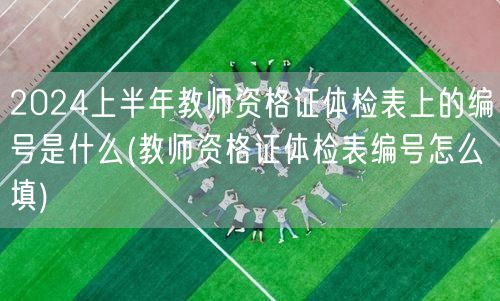 2024上半年教师资格证体检编号查询与填