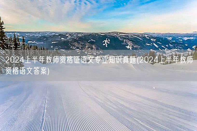 2024上半年教师资格证语文真题及答案解