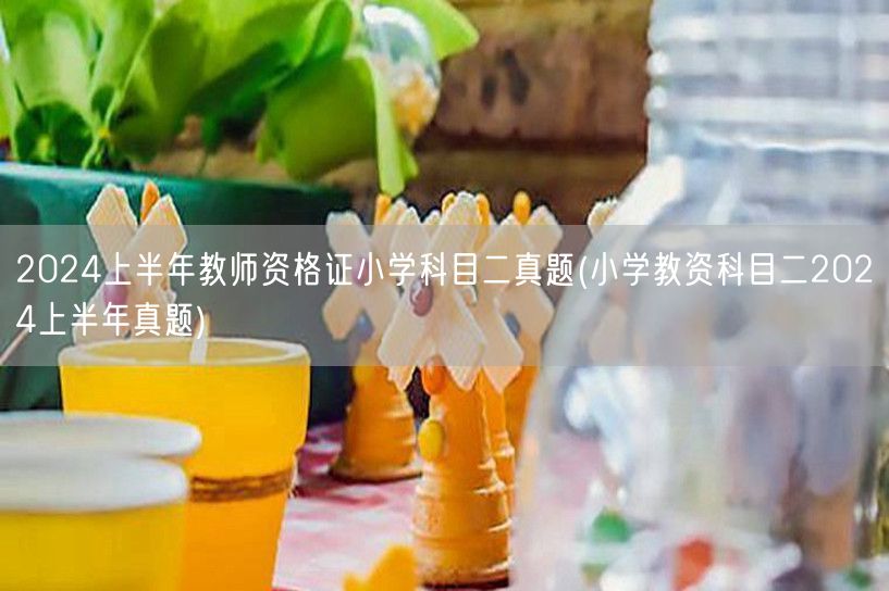 2024上半年教师资格证小学科目二真题 