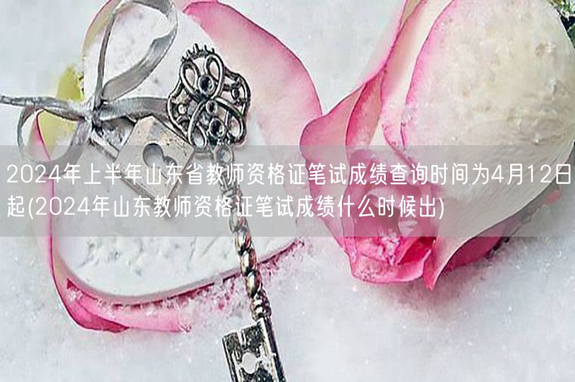 2024山东教资笔试成绩查询 4月12日