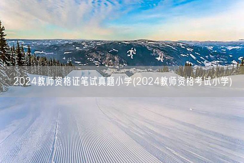 2024教师资格证笔试真题小学及答案解析