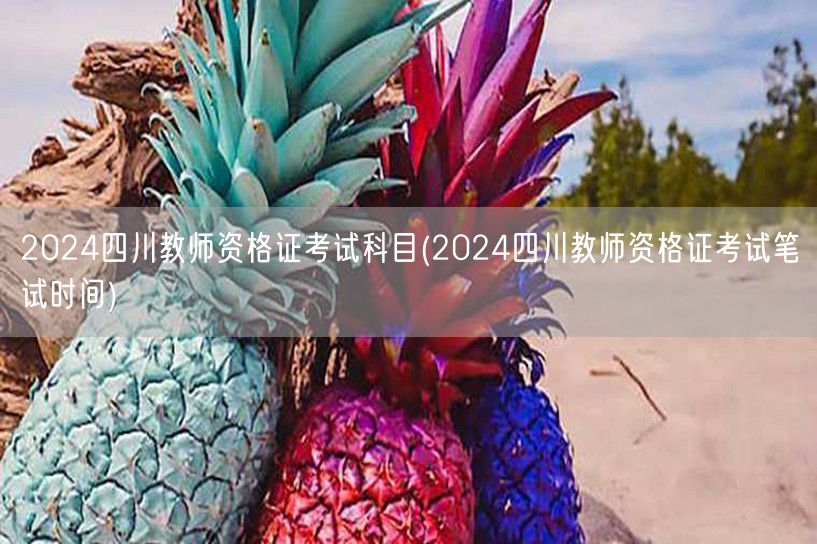 2024四川教师资格证考试科目及笔试时间