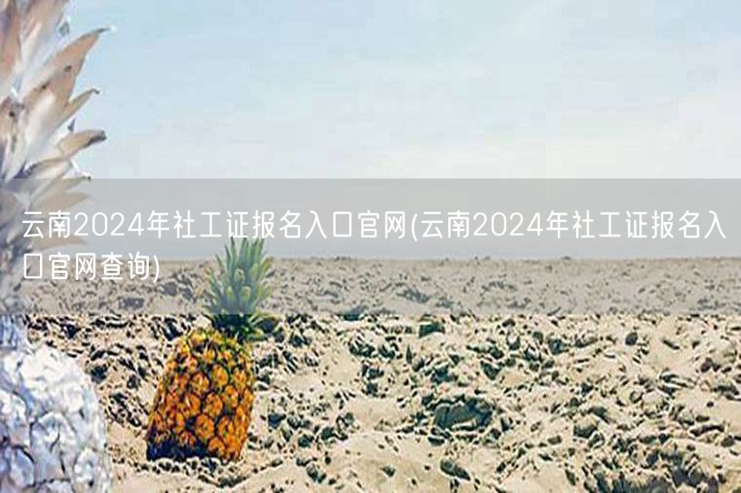 云南2024社工证报名官网入口查询