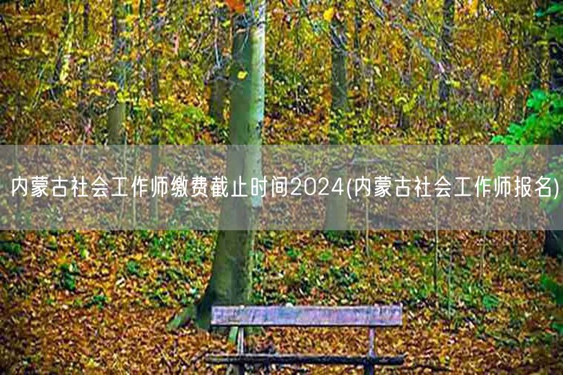 内蒙古社工师报名缴费2024截止时间