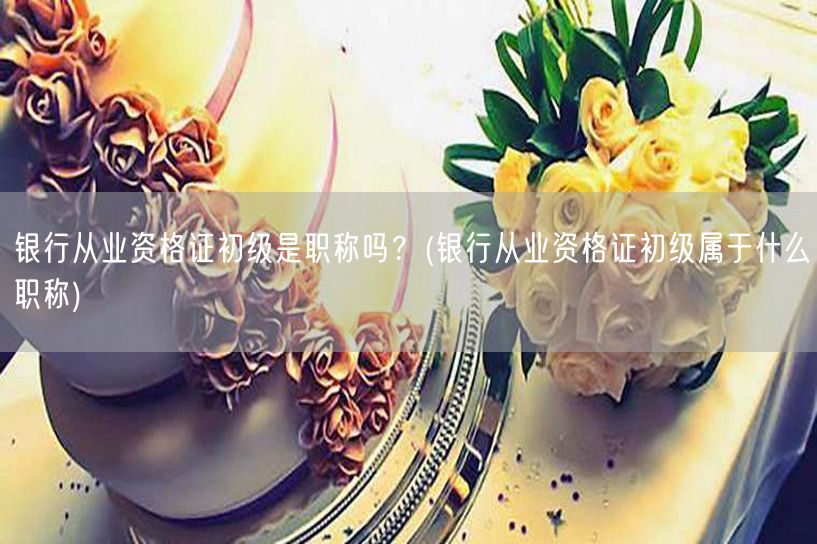 银行从业初级资格是否为职称类别