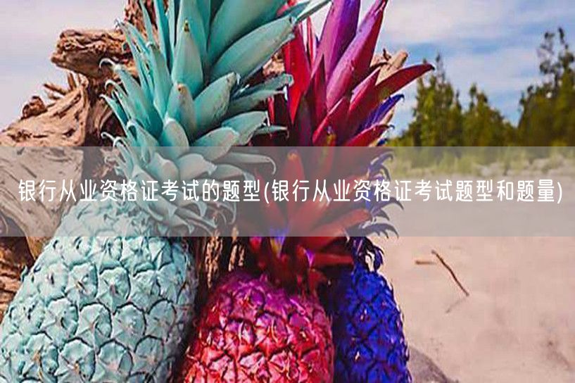银行从业资格证考试题型题量概览