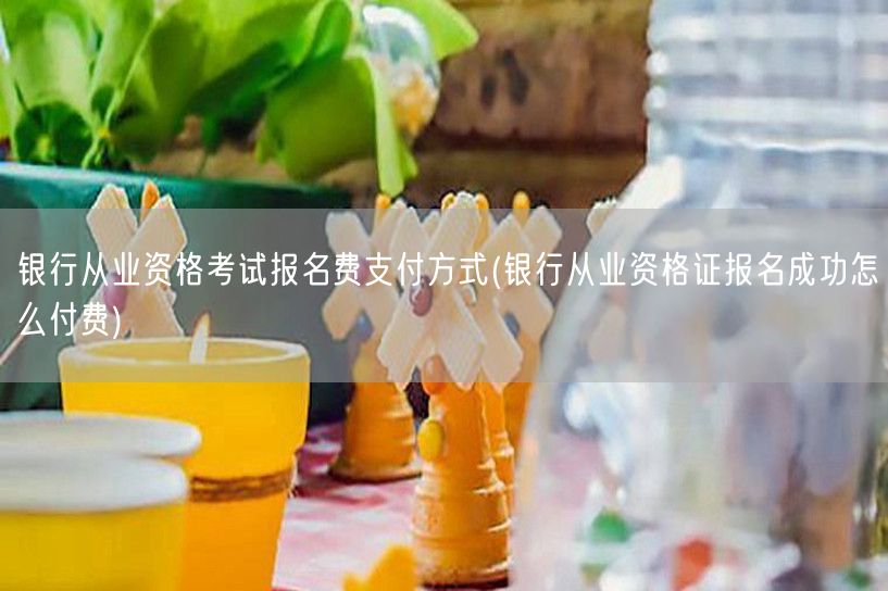 银行从业报名费支付流程及成功付费方法