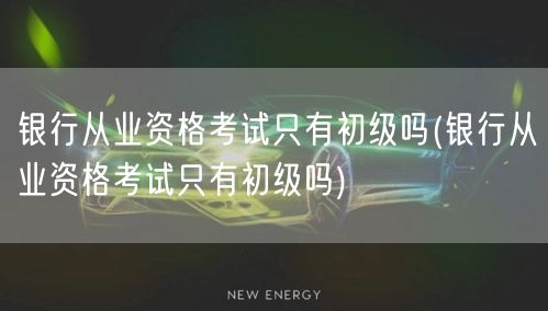银行从业资格考试分初中高级吗