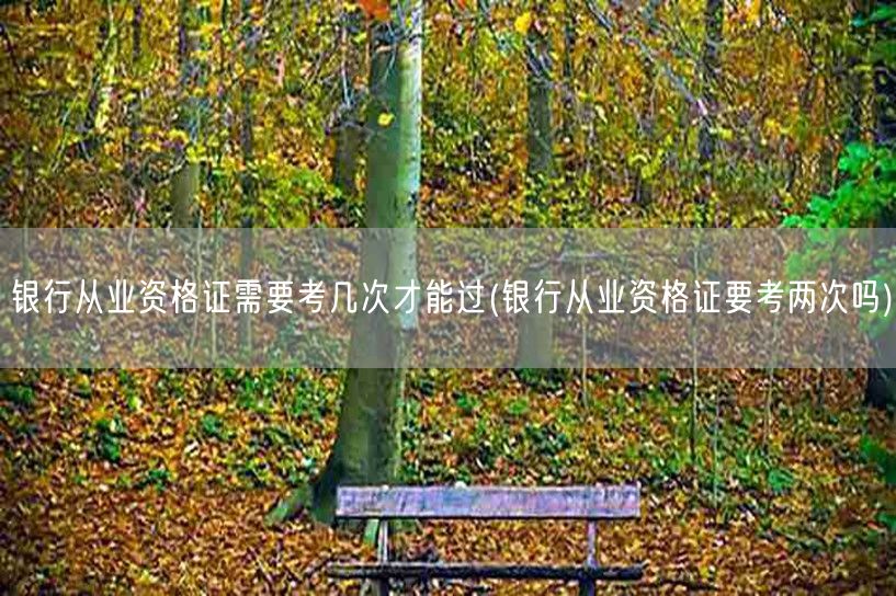 银行从业资格证考试次数与通过策略