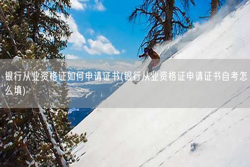 银行从业资格证申请流程与自考填写指南