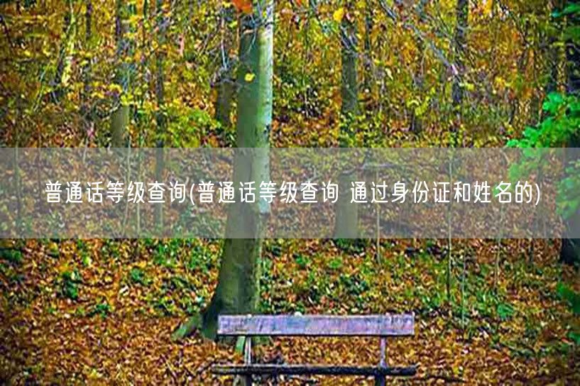 普通话等级查询身份证姓名验证