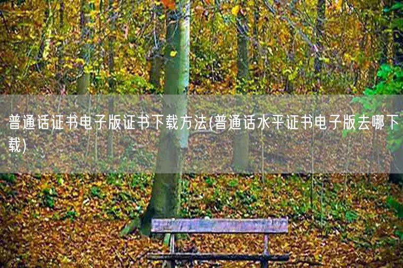 普通话证书电子版下载指南