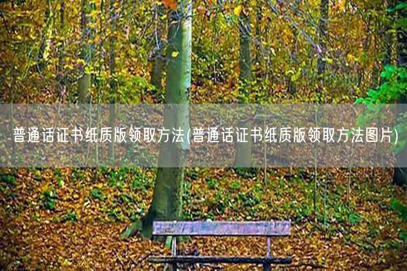 普通话证书纸质版领取教程图