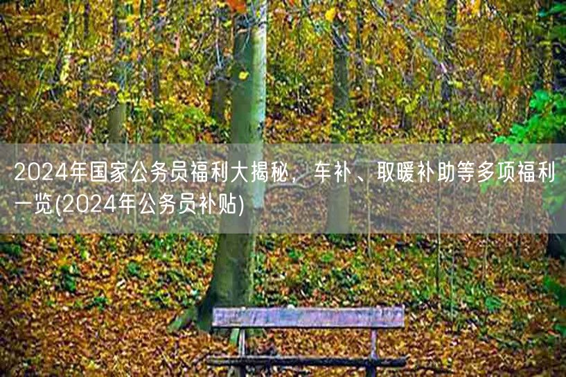2024公务员福利全览：车补取暖补等补贴