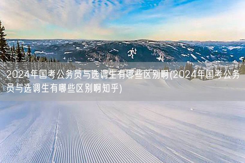 2024国考与选调生差异解析