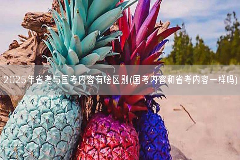 国考省考内容差异解析