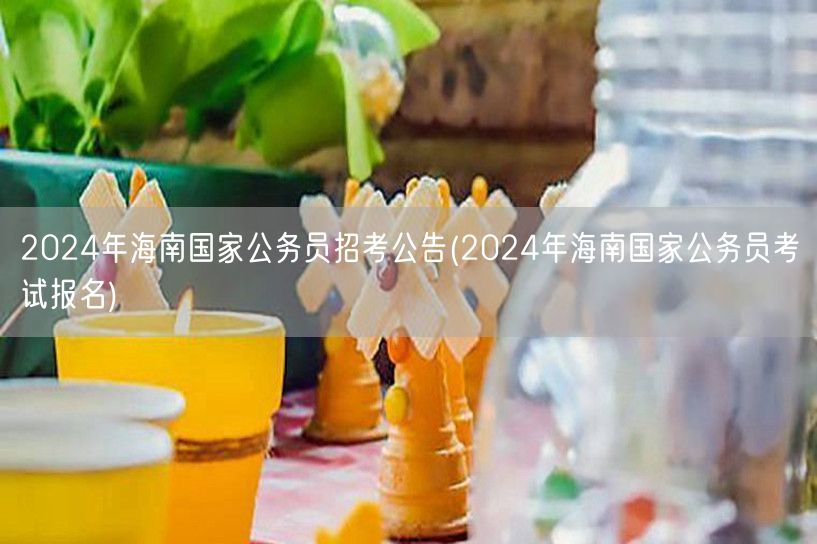 2024海南国考公告及报名指南