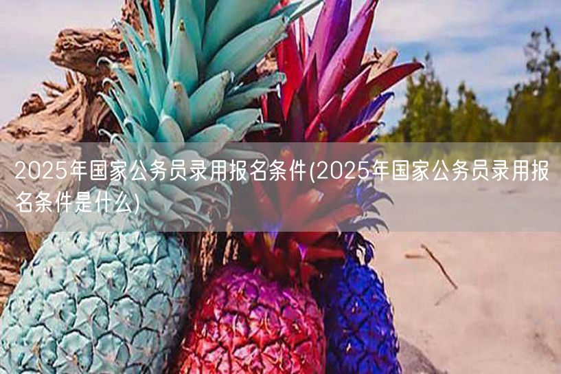 2025国家公务员报名资格条件详解