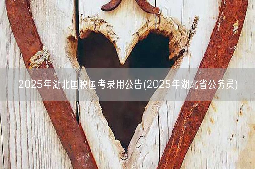 2025湖北国税国考录用公告 湖北公务员